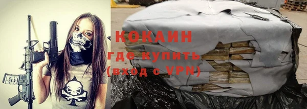 гидра Калининец