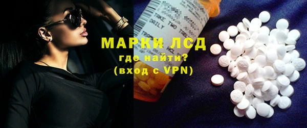 гидра Калининец