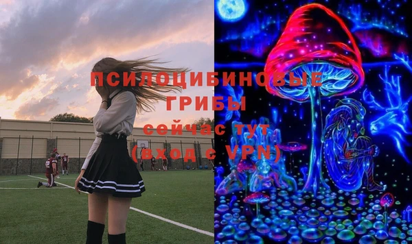 соль курить ск Нестеровская