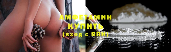 гидра Калининец
