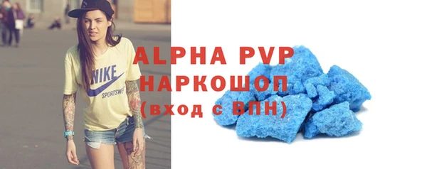 гидра Калининец