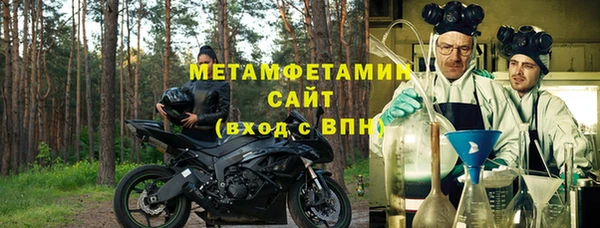 гидра Калининец
