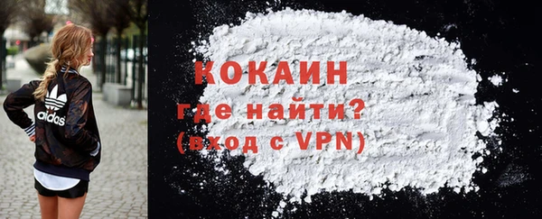 гидра Калининец