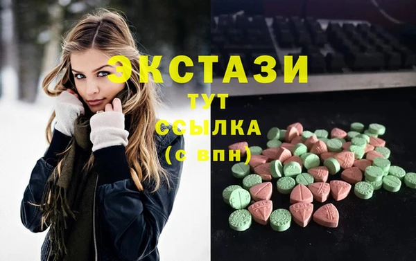 гидра Калининец