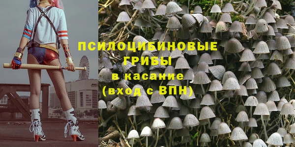 гидра Калининец