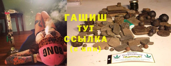 гидра Калининец
