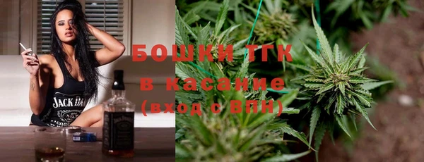 гидра Калининец