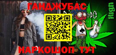 гидропоника Камышлов