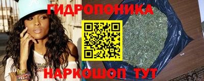гидропоника Камышлов