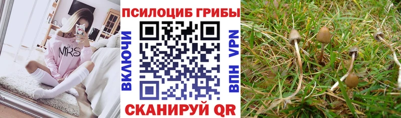 Галлюциногенные грибы мухоморы  ссылка на мегу вход  Дербент  наркотики 