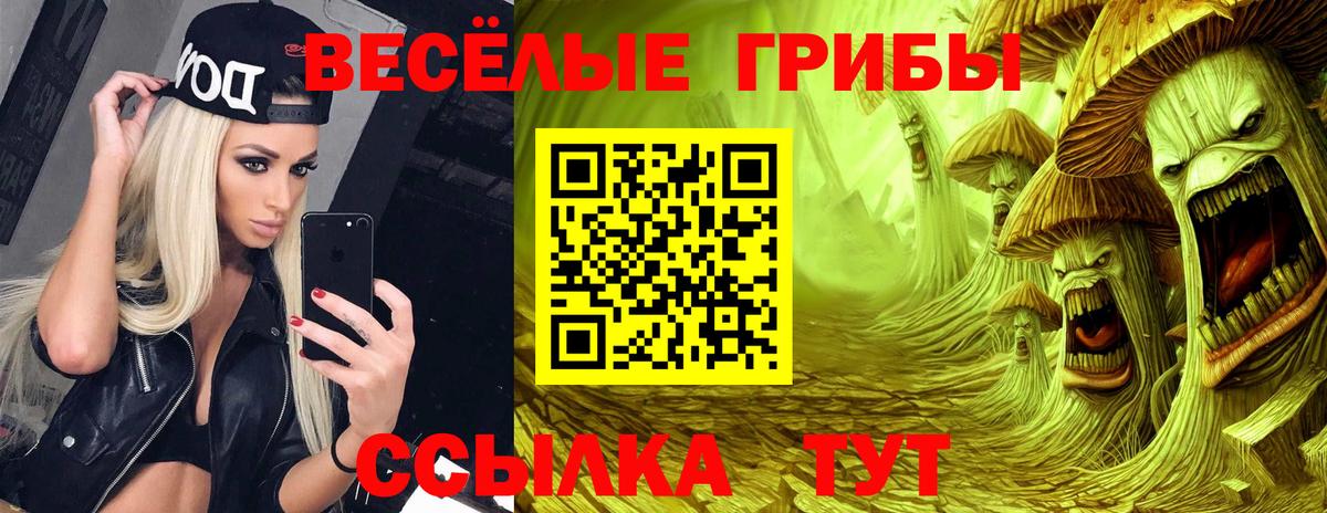 Псилоцибиновые грибы GOLDEN TEACHER Дербент