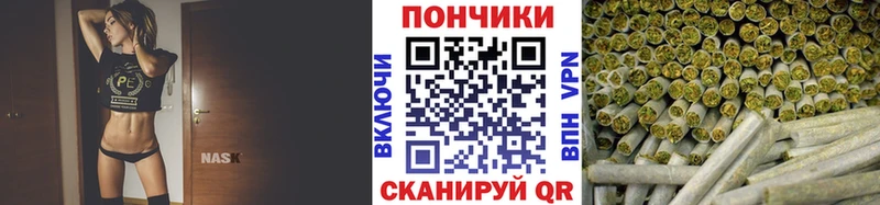 Бошки Шишки план  omg ТОР  Дербент  где продают  